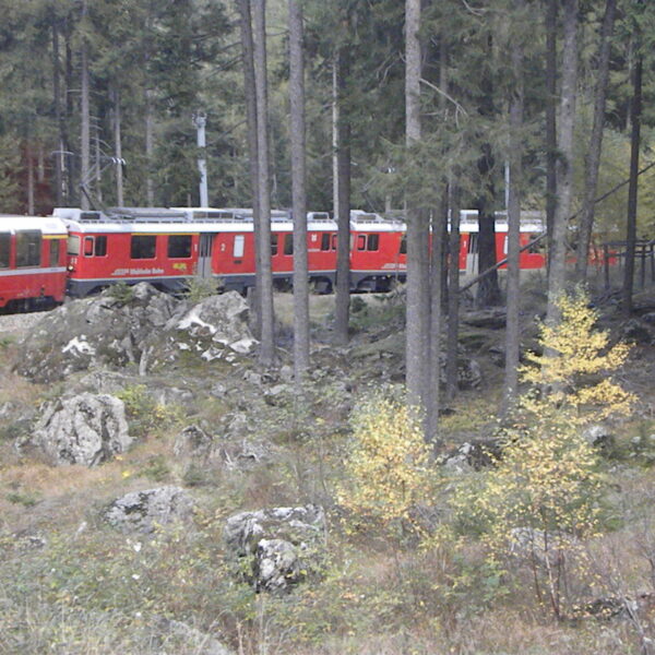 DSCN1377